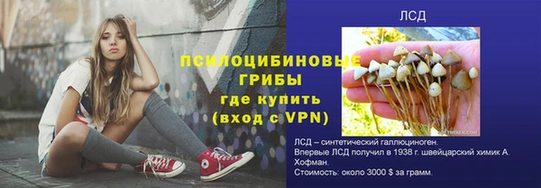 СК Магас