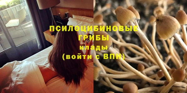СК Магас