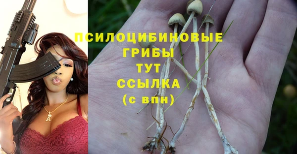 дмт Майский