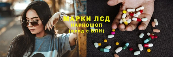 СК Магас