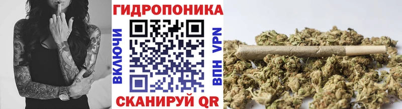 Шишки марихуана SATIVA & INDICA  сайты даркнета телеграм  Саратов 